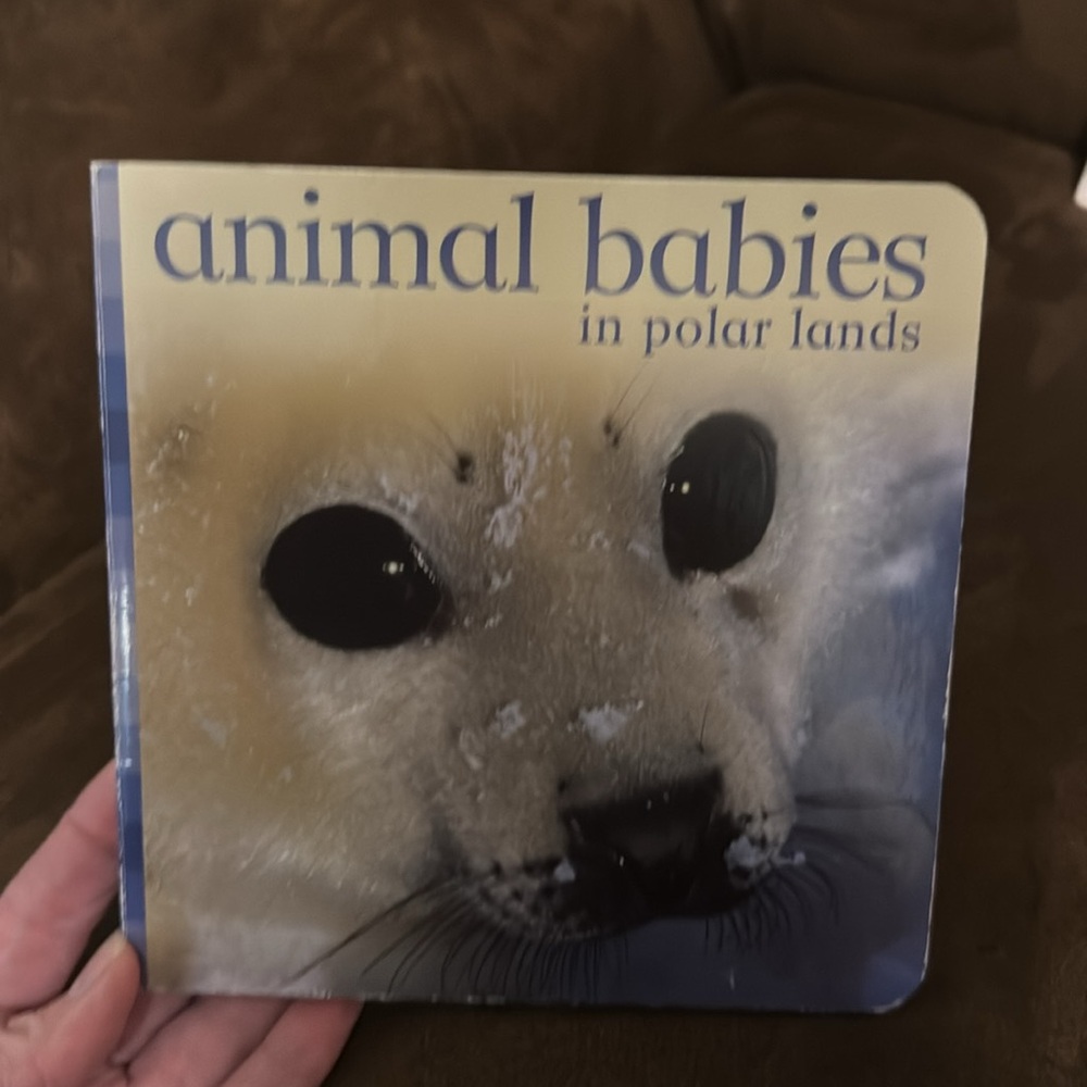 Baby/Toddler book bundle - Picture 2 of 13